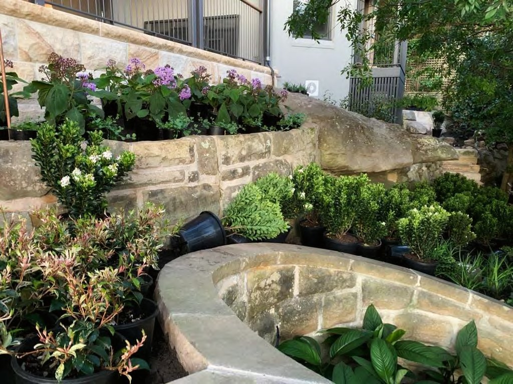 230111FSMbrochure-6-Bertha-Rd-Cremorne